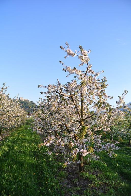 Agroturismo Bortolotti