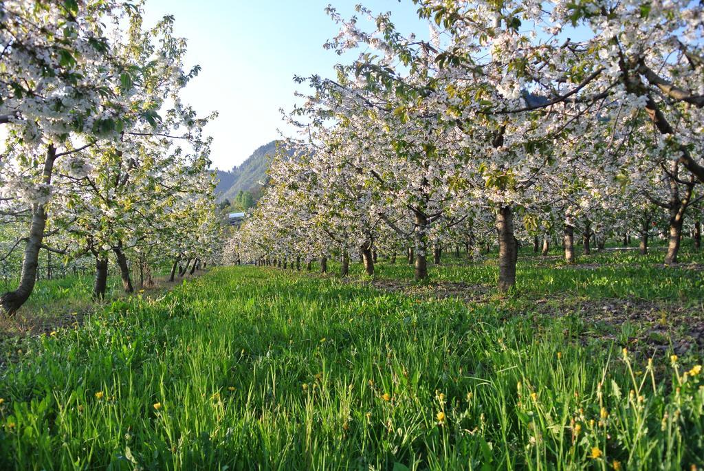 Agroturismo Bortolotti