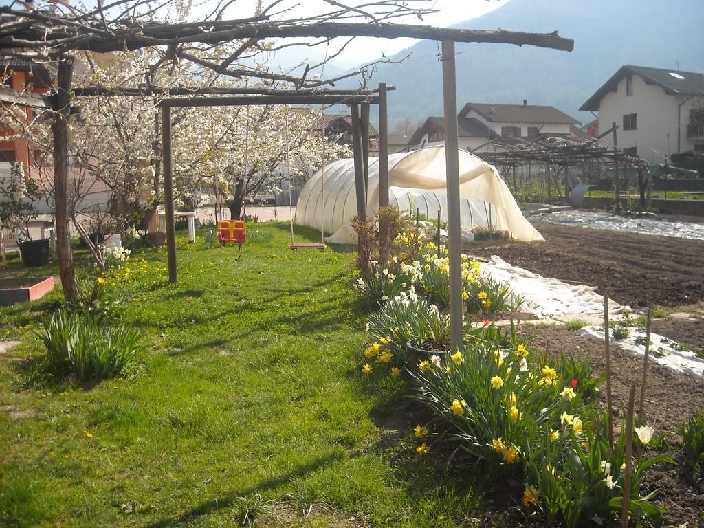 Agroturismo Bortolotti *